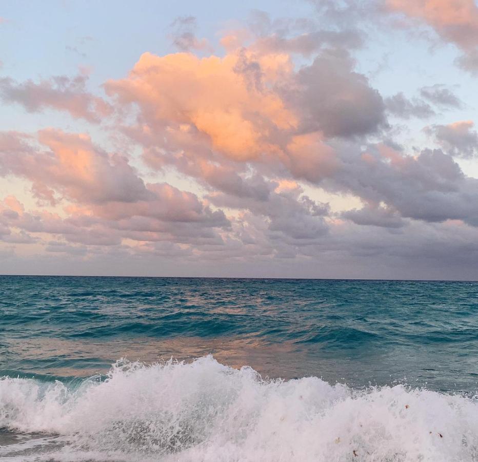 Palm Beach Island Condominiums المظهر الخارجي الصورة