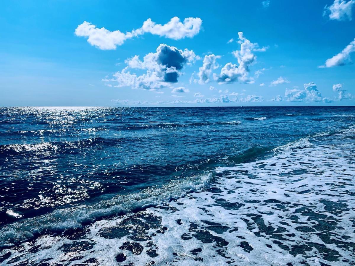 Palm Beach Island Condominiums المظهر الخارجي الصورة